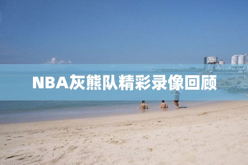 NBA灰熊队精彩录像回顾