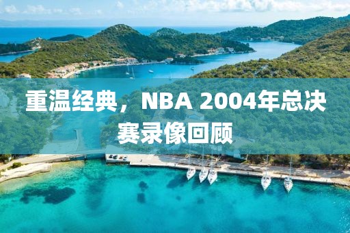 重温经典,NBA 2004年总决赛录像回顾
