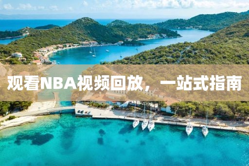 观看NBA视频回放,一站式指南