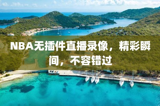 NBA无插件直播录像,精彩瞬间,不容错过