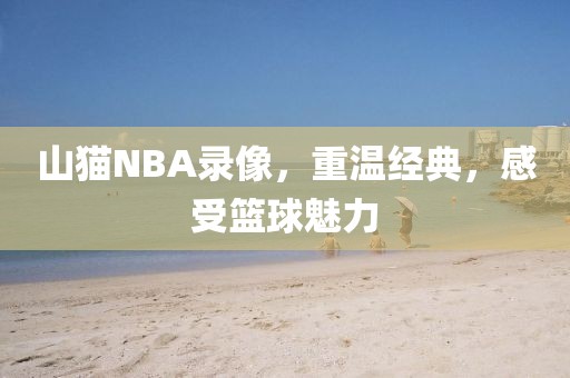 山猫NBA录像,重温经典,感受篮球魅力