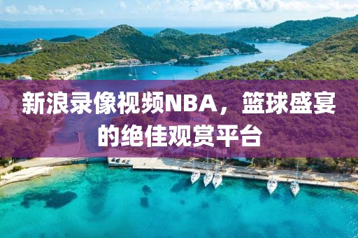 新浪录像视频NBA，篮球盛宴的绝佳观赏平台