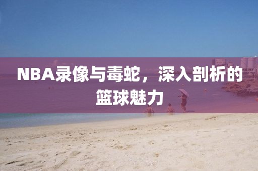 NBA录像与毒蛇,深入剖析的篮球魅力