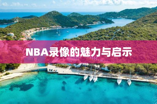 NBA录像的魅力与启示