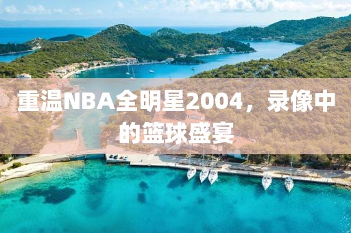 重温NBA全明星2004,录像中的篮球盛宴