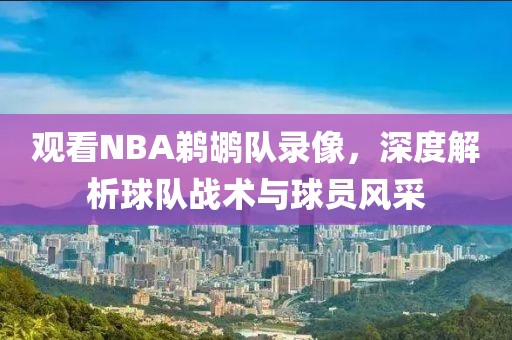 观看NBA鹈鹕队录像,深度解析球队战术与球员风采