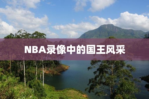 NBA录像中的国王风采