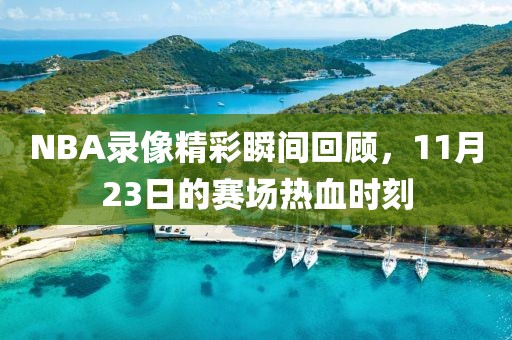 NBA录像精彩瞬间回顾,11月23日的赛场热血时刻