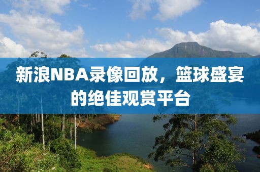 新浪NBA录像回放,篮球盛宴的绝佳观赏平台