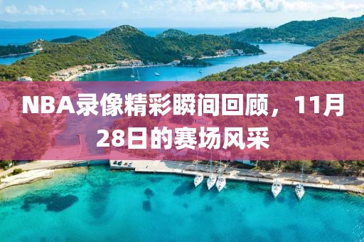 NBA录像精彩瞬间回顾,11月28日的赛场风采