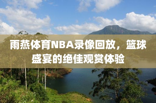 雨燕体育NBA录像回放，篮球盛宴的绝佳观赏体验