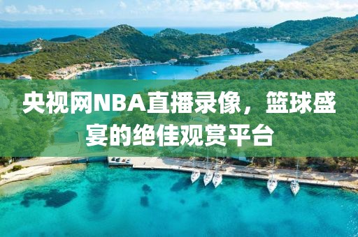 央视网NBA直播录像,篮球盛宴的绝佳观赏平台