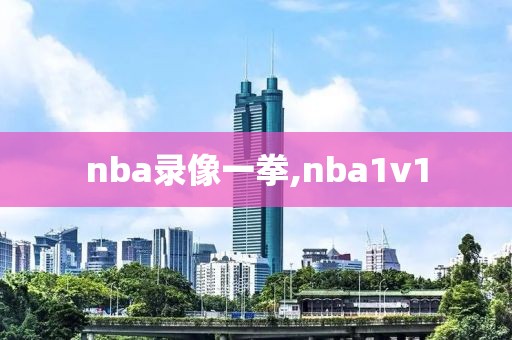 nba录像一拳,nba1v1