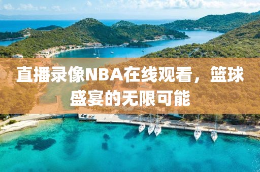 直播录像NBA在线观看,篮球盛宴的无限可能