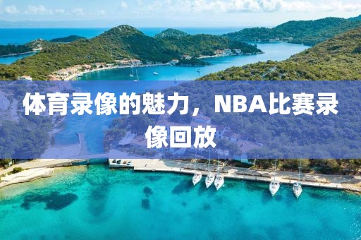 体育录像的魅力,NBA比赛录像回放