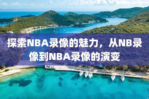 探索NBA录像的魅力,从NB录像到NBA录像的演变