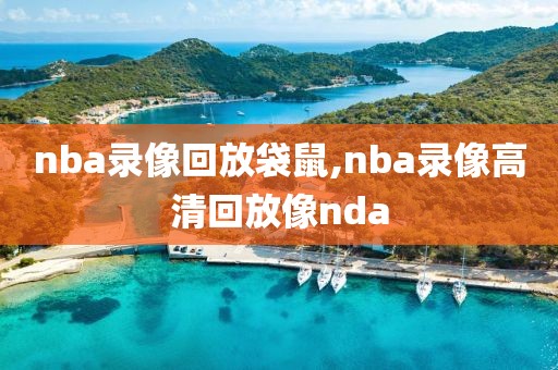 nba录像回放袋鼠,nba录像高清回放像nda