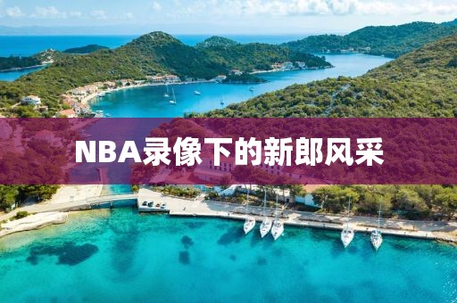NBA录像下的新郎风采