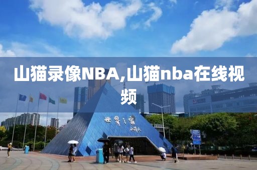 山猫录像NBA,山猫nba在线视频
