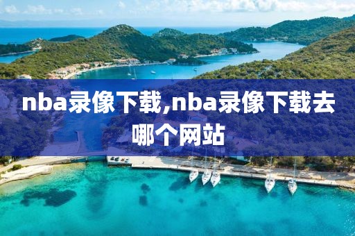 nba录像下载,nba录像下载去哪个网站