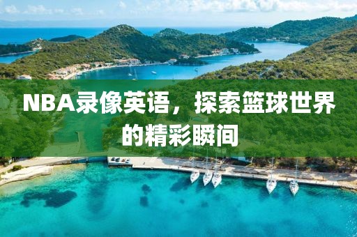 NBA录像英语，探索篮球世界的精彩瞬间