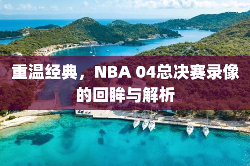 重温经典,NBA 04总决赛录像的回眸与解析
