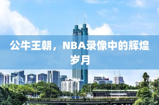 公牛王朝,NBA录像中的辉煌岁月
