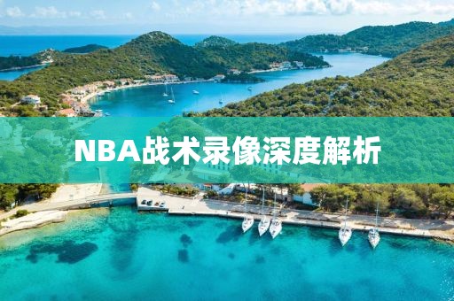 NBA战术录像深度解析