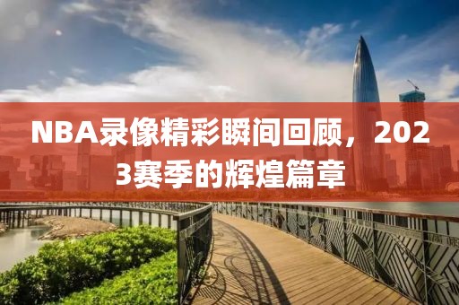 NBA录像精彩瞬间回顾，2023赛季的辉煌篇章