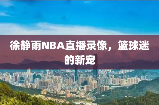徐静雨NBA直播录像,篮球迷的新宠