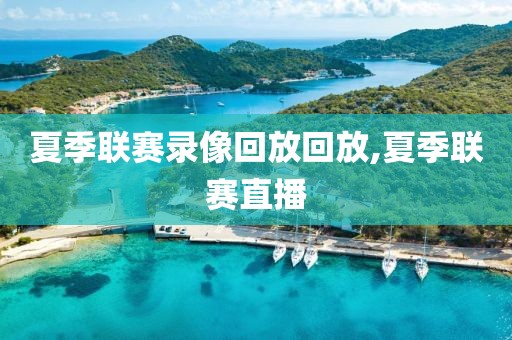 夏季联赛录像回放回放,夏季联赛直播