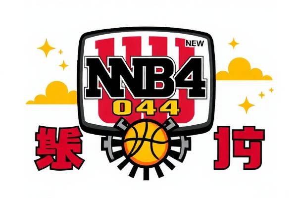 重温经典，NBA 04总决赛录像的回眸与解析