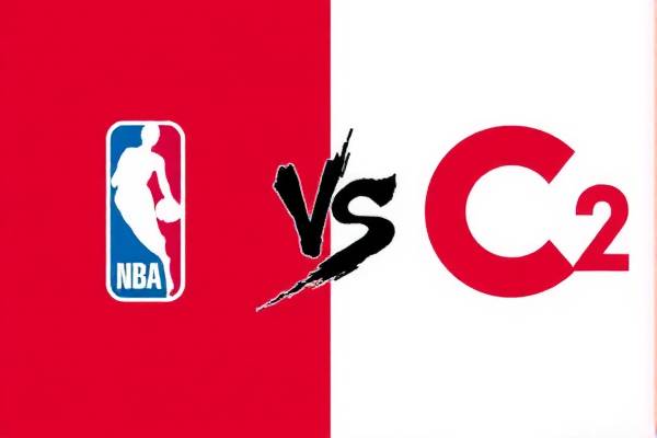 NBA湖人VS热火G2录像,热血对决的重燃之夜