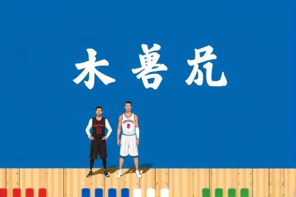 NBA总决赛精彩瞬间录像,回顾与赏析