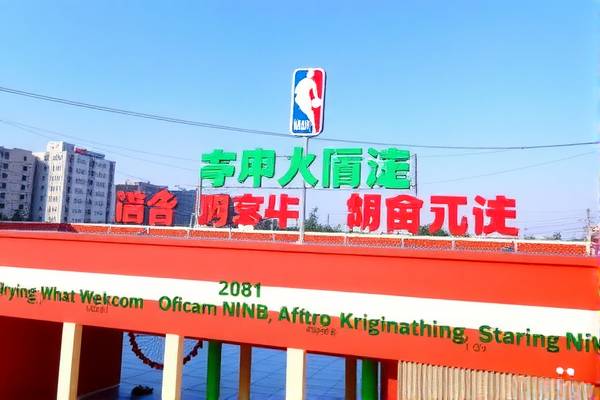 百度网盘NBA录像,球迷的宝藏之地