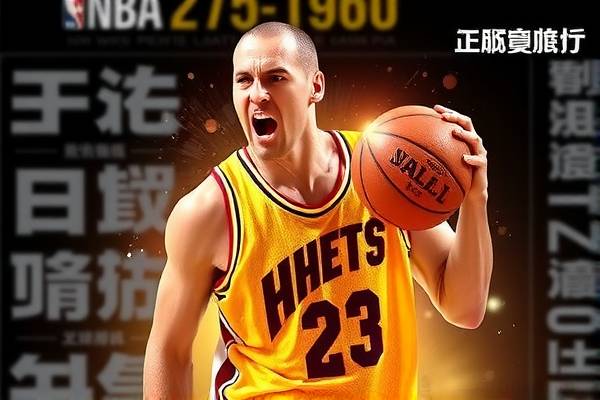 重温经典，观看NBA比赛录像回顾—2009年赛季的辉煌时刻  NBA比赛录像回顾 2009年赛季的辉煌时刻 第3张
