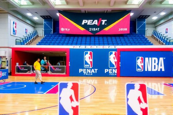 NBA录像回放，重温经典，感受篮球魅力