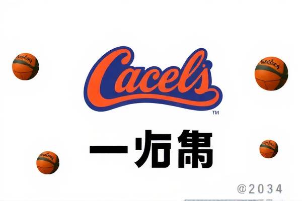 CC直播NBA录像回放,篮球盛宴的不二之选