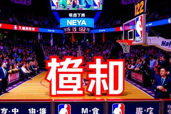 NBA苦力录像，探寻篮球背后的辛勤付出与坚韧精神  NBA苦力录像 篮球辛勤付出与坚韧精神 第2张