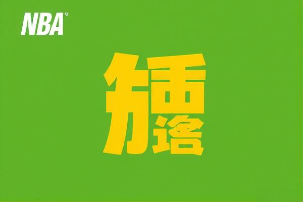 全景NBA录像，篮球盛宴的视觉盛宴