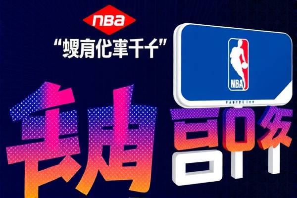 重温经典,2013年NBA录像回顾